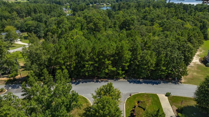 Property image 3 of 409 Caro Lane in The Oaks, Chapin, SC 29036