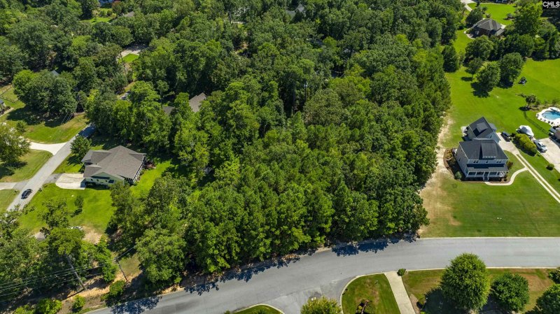Property image 5 of 409 Caro Lane in The Oaks, Chapin, SC 29036