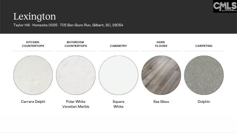 Property image 4 of 705 Ben Gunn Run in Taylor Hill, Gilbert, SC 29054