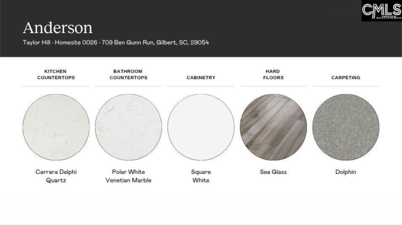 Property image 4 of 709 Ben Gunn Run in Taylor Hill, Gilbert, SC 29054