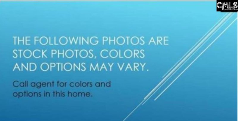 Property image 4 of 105 Monroe Preserve Drive in Monroe Preserve, Chapin, SC 29036