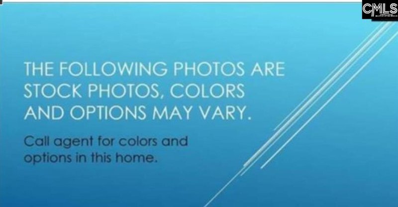 Property image 5 of 109 Monroe Preserve Drive in Monroe Preserve, Chapin, SC 29036