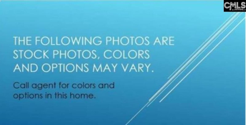 Property image 5 of 117 Monroe Preserve Drive in Monroe Preserve, Chapin, SC 29036