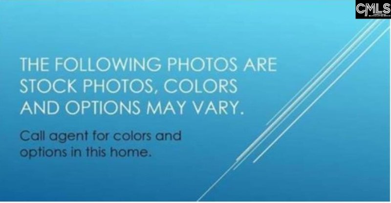 Property image 4 of 113 Monroe Preserve Drive in Monroe Preserve, Chapin, SC 29036