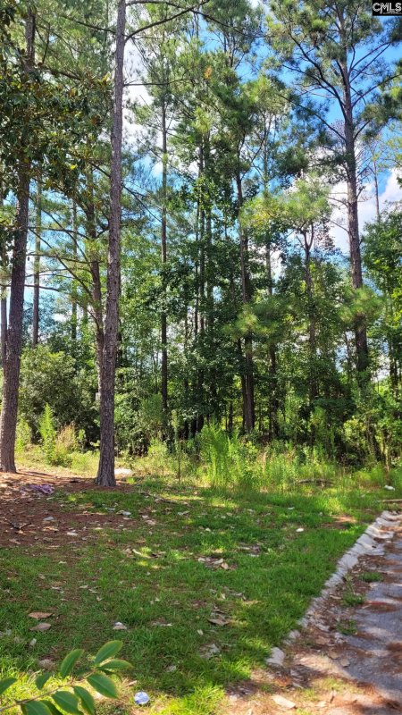 Property image 4 of 4 Chesapeake Court in Williamsburg Sq, Columbia, SC 29223