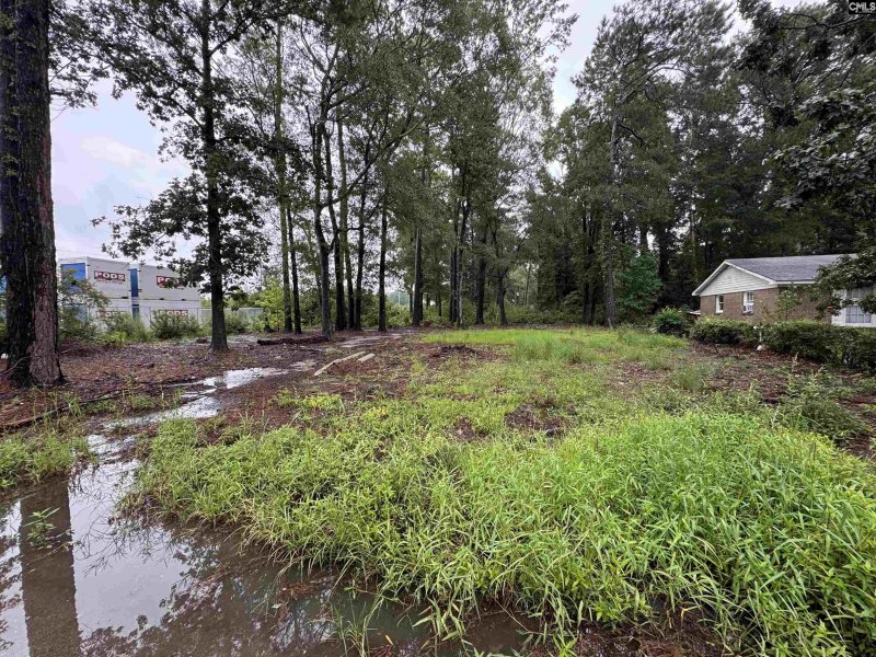 Bluff Estates, Columbia Community