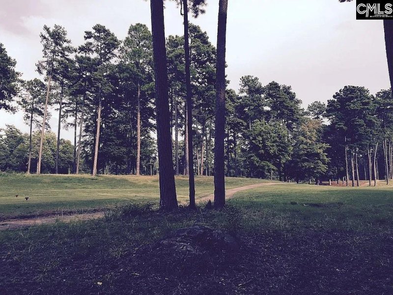 Property image 2 of 111 Water Links Drive in Timberlake Estates, Chapin, SC 29036