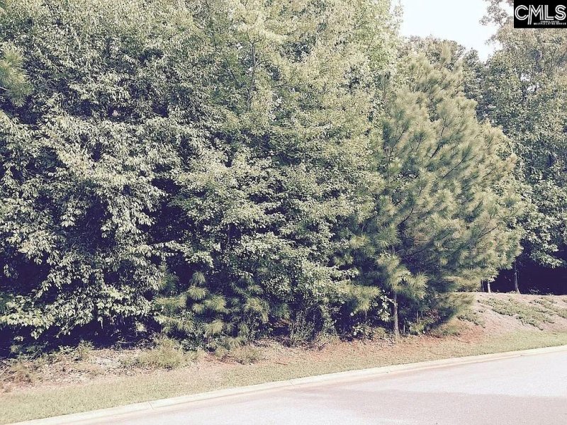 Property image 3 of 111 Water Links Drive in Timberlake Estates, Chapin, SC 29036