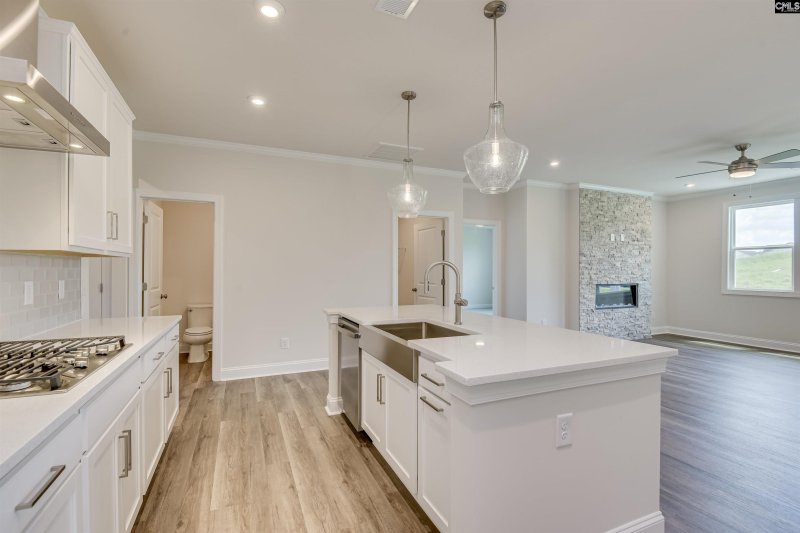 Property image 3 of 461 Rainbow Shad Way in Barr Lake, Lexington, SC 29072