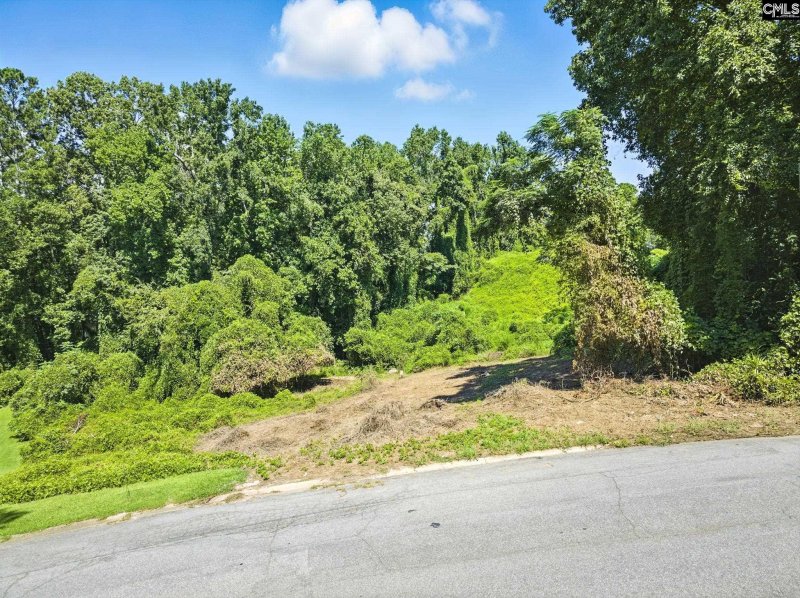 Property image 2 of 4813 Barrington Drive in Barony, Columbia, SC 29203