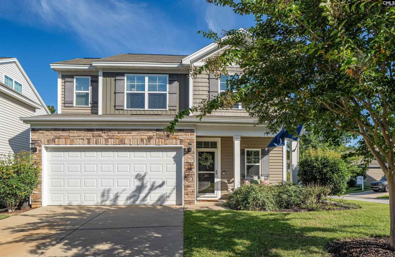 Property image 3 of 315 Lanyard Lane in Osprey, Chapin, SC 29036