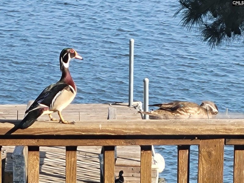 Property image 5 of 1366 Camping Road in Martins Crossing, Gilbert, SC 29054
