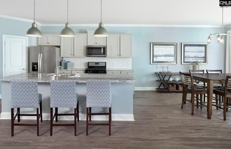 Property image 5 of 149 Monroe Preserve Drive in Monroe Preserve, Chapin, SC 29036