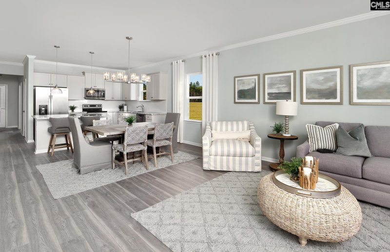 Property image 2 of 145 Monroe Preserve Drive in Monroe Preserve, Chapin, SC 29036