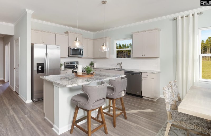 Property image 3 of 145 Monroe Preserve Drive in Monroe Preserve, Chapin, SC 29036