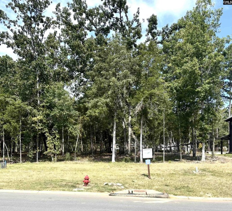 Property image 2 of 620 Misty Banks Drive in Whitewater Landing, Chapin, SC 29036-0000