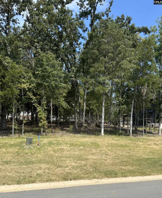 Property image 3 of 620 Misty Banks Drive in Whitewater Landing, Chapin, SC 29036-0000