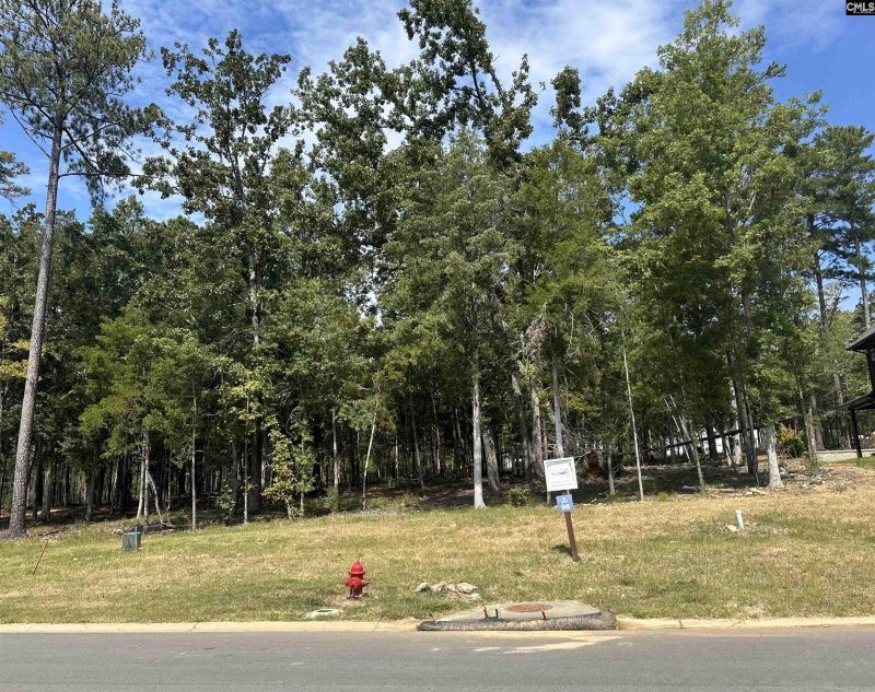 Property image 4 of 620 Misty Banks Drive in Whitewater Landing, Chapin, SC 29036-0000