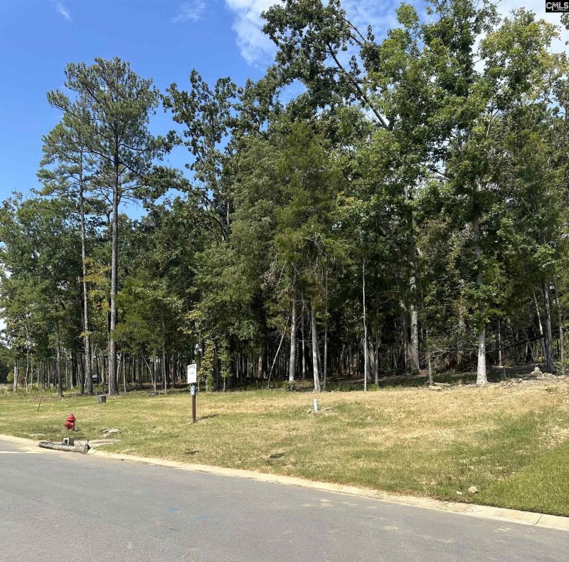 Property image 5 of 620 Misty Banks Drive in Whitewater Landing, Chapin, SC 29036-0000