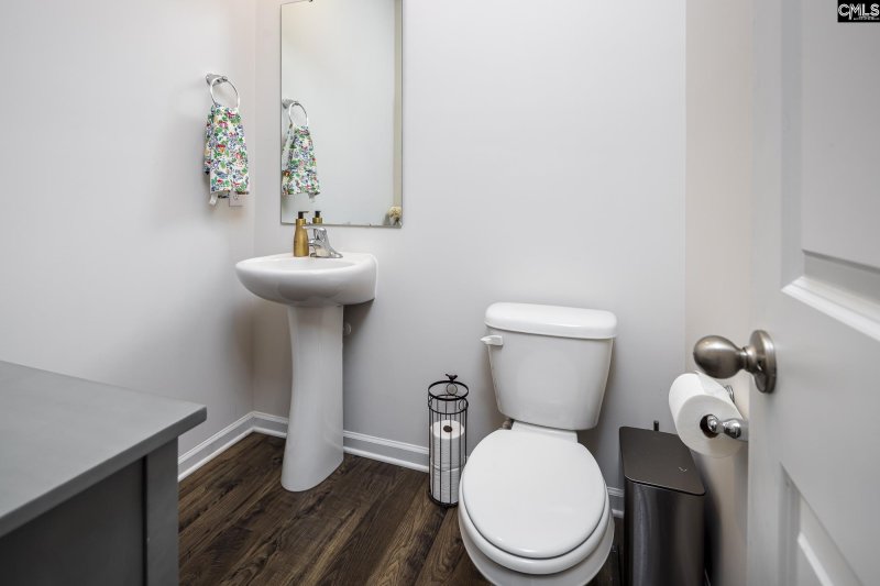 Property image 4 of 622 Autumn Shiloh Drive in Woodland Crossing, Chapin, SC 29036