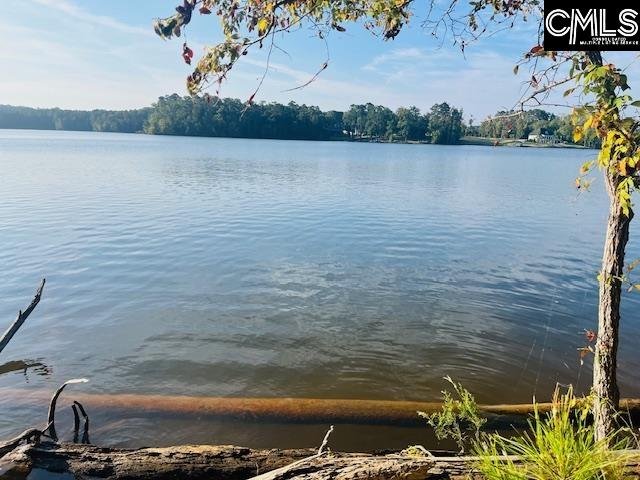 Property image 2 of Lands End Lane in Lands End At Woodside Shores, Prosperity, SC 29127