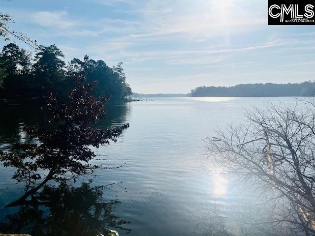 Property image 3 of Lands End Lane in Lands End At Woodside Shores, Prosperity, SC 29127