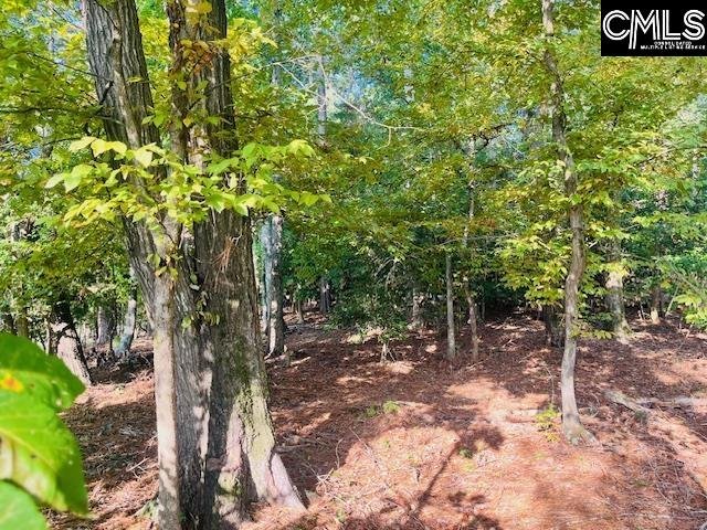 Property image 5 of Lands End Lane in Lands End At Woodside Shores, Prosperity, SC 29127