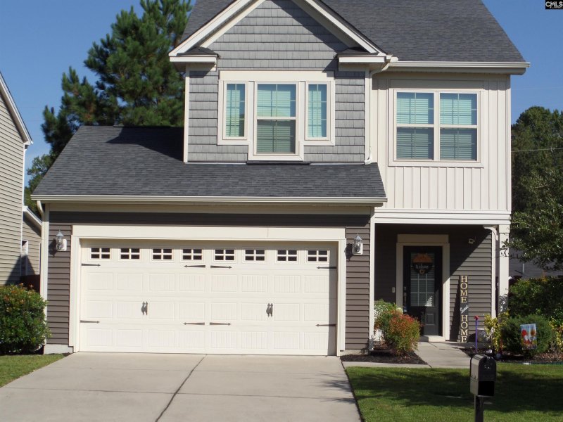 Brookland Mill, West Columbia Community