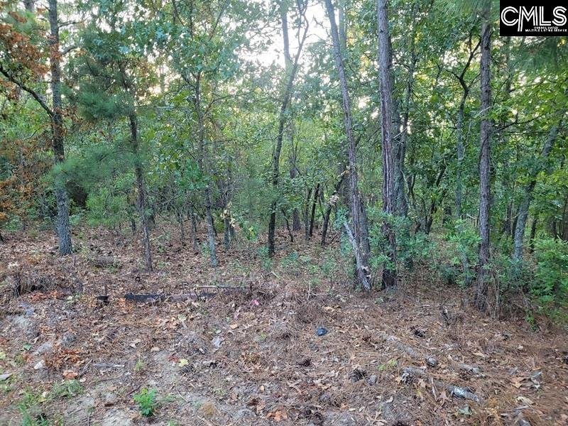 Property image 2 of 4 Lost Dog Court in Woodcreek Farms, Elgin, SC 29045