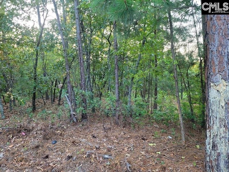 Property image 3 of 4 Lost Dog Court in Woodcreek Farms, Elgin, SC 29045