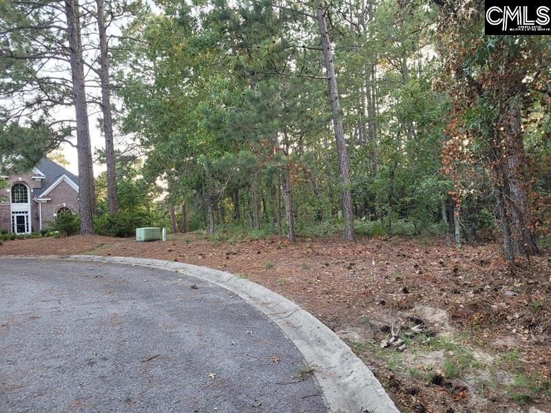 Property image 4 of 4 Lost Dog Court in Woodcreek Farms, Elgin, SC 29045