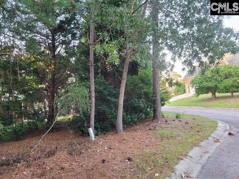 Property image 5 of 4 Lost Dog Court in Woodcreek Farms, Elgin, SC 29045