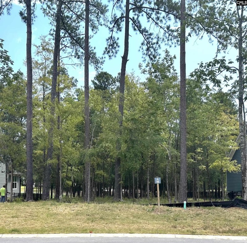 Property image 2 of 569 Misty Banks Drive in Whitewater Landing, Chapin, SC 29036