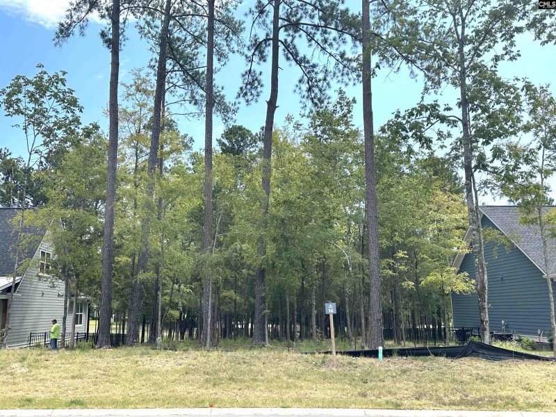 Property image 3 of 569 Misty Banks Drive in Whitewater Landing, Chapin, SC 29036