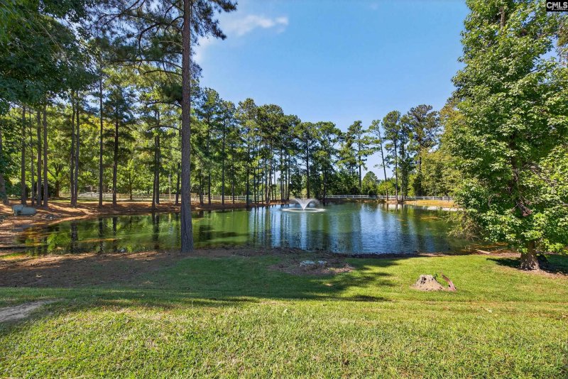 Property image 4 of 212 Bantam Place in Heritage Farm, Lexington, SC 29072