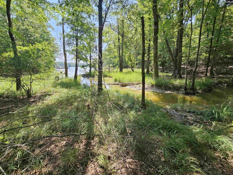 Property image 4 of 0 Stewart Landing Drive in Stewart Landing, Prosperity, SC 29127