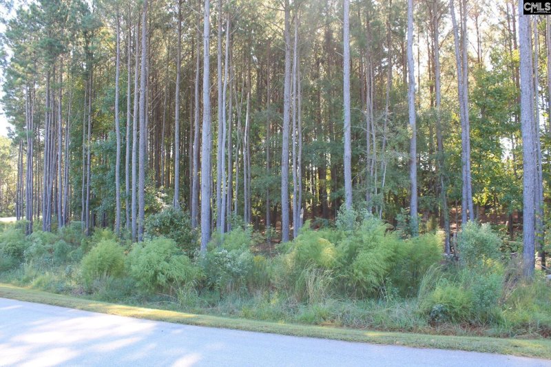 Property image 2 of Clouds Creek Circle in Palmetto Pointe, Leesville, SC 29070