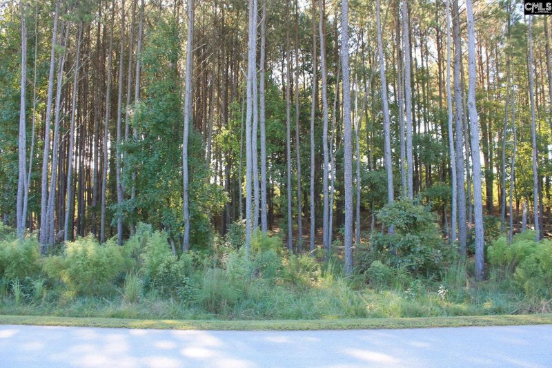 Property image 3 of Clouds Creek Circle in Palmetto Pointe, Leesville, SC 29070