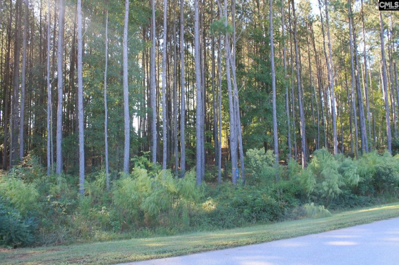 Property image 4 of Clouds Creek Circle in Palmetto Pointe, Leesville, SC 29070