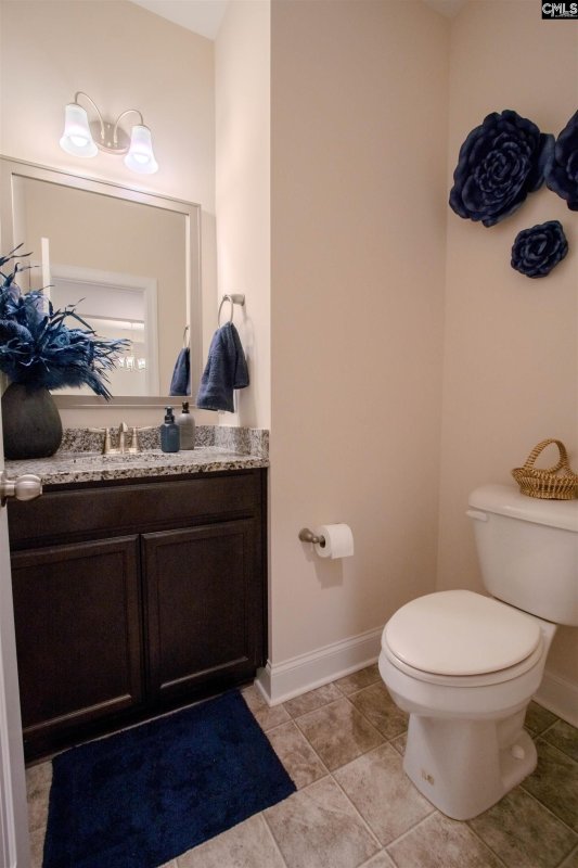 Property image 5 of 210 Hadleigh Drive in Hadleigh Park, Lexington, SC 29072