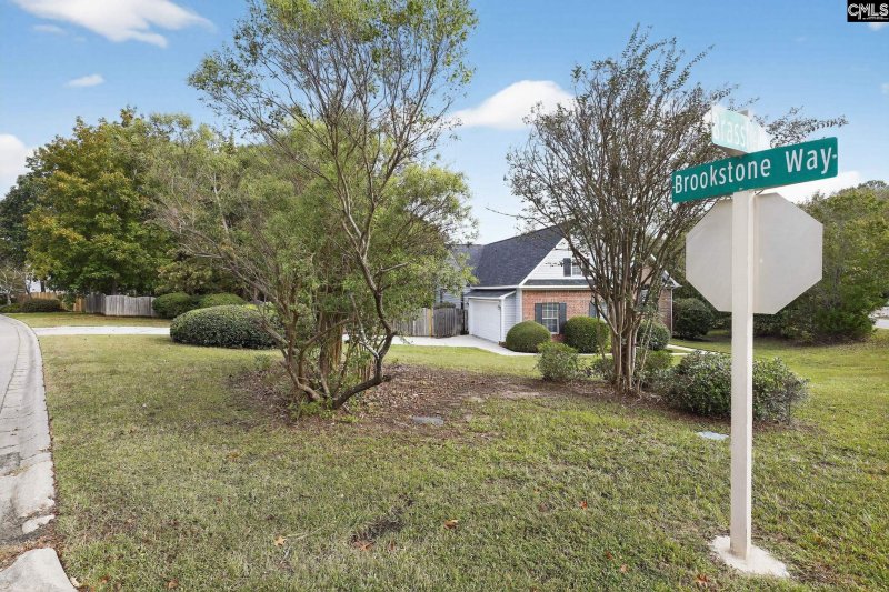 Property image 4 of 101 S Brassfield Court in Ashford, Irmo, SC 29063