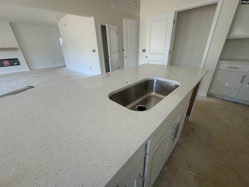 Property image 5 of 517 Griffon Drive in Boykin Hills, Chapin, SC 29036