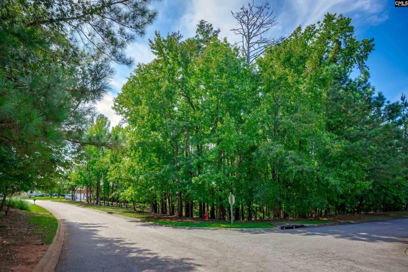 Property image 4 of 338 Lake Estate Drive in Timberlake Estates, Chapin, SC 29036