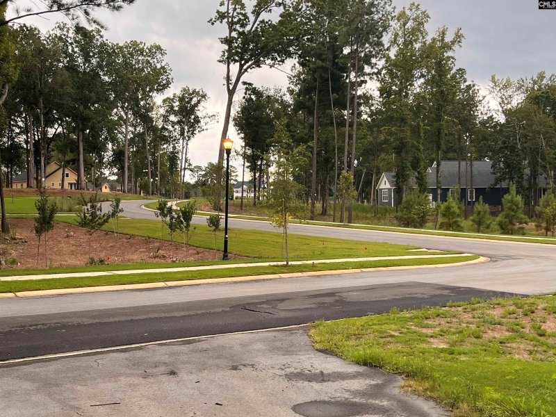 Property image 3 of Lot 107 Timber Trail in Stewart Landing, Prosperity, SC 29127