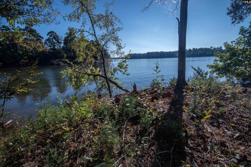 Property image 2 of 193 Lands End Lane in Lands End At Woodside Shores, Prosperity, SC 29127