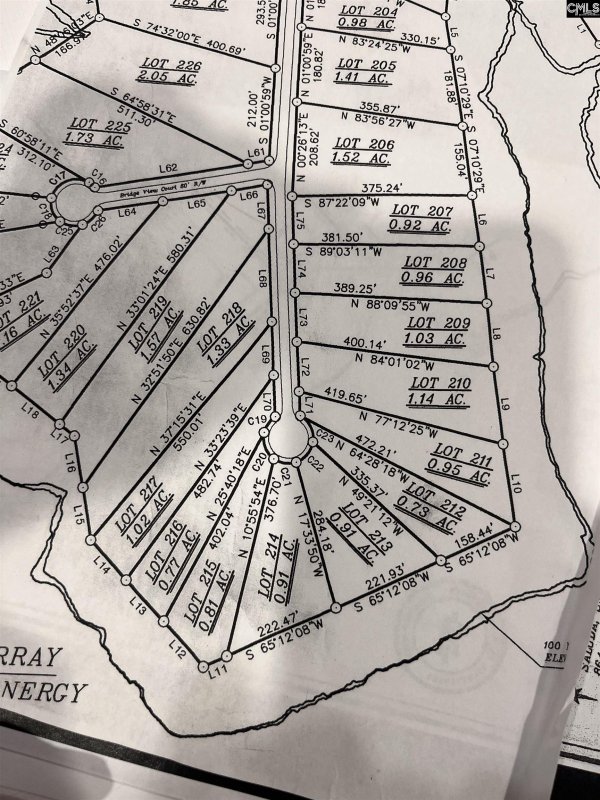 Property image 3 of 193 Lands End Lane in Lands End At Woodside Shores, Prosperity, SC 29127