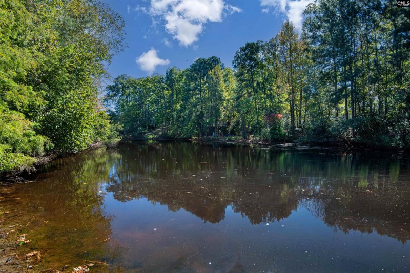 Property image 3 of 112 Mallard Lakes Court in Mallard Lakes, Lexington, SC 29072