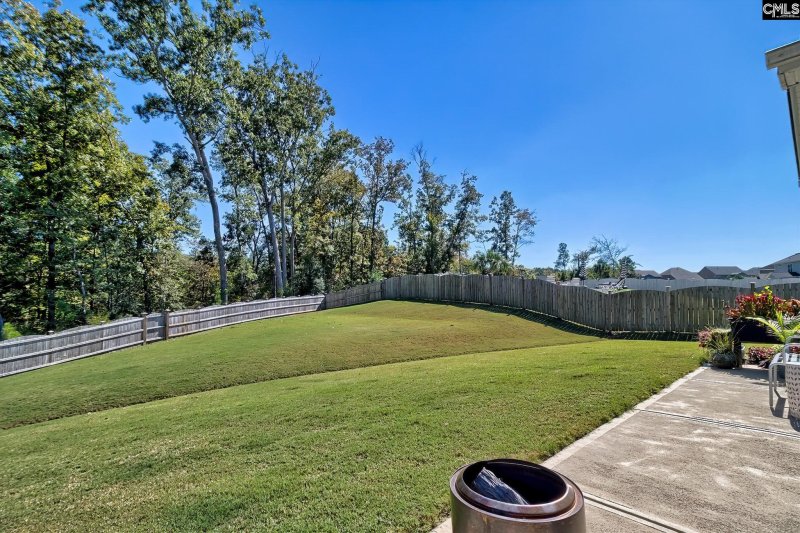 Property image 3 of 818 Ruskin Drive in Portrait Hill, Chapin, SC 29036-6332