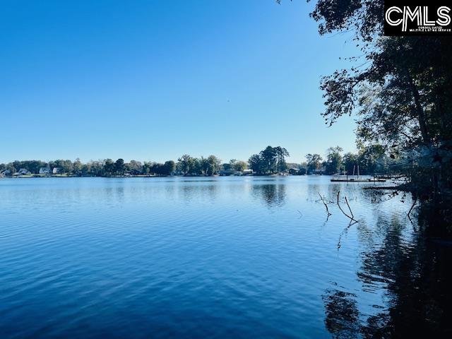 Property image 2 of 163 Murray Point in Lake Murray Estates, Batesburg, SC 29006