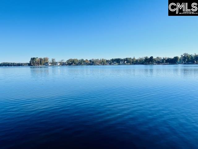 Property image 3 of 163 Murray Point in Lake Murray Estates, Batesburg, SC 29006